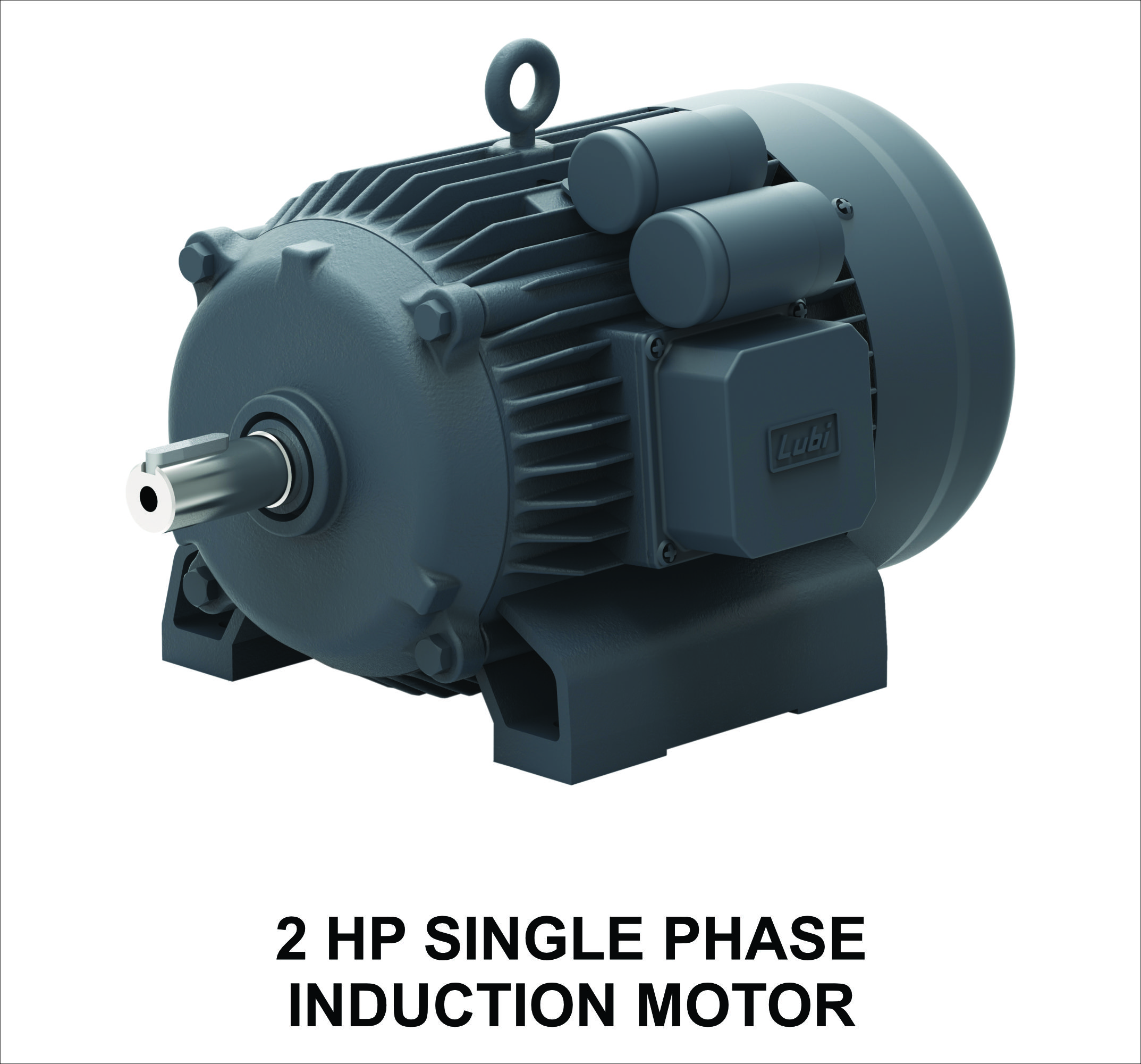 2 HP Single Phase Induction Motor